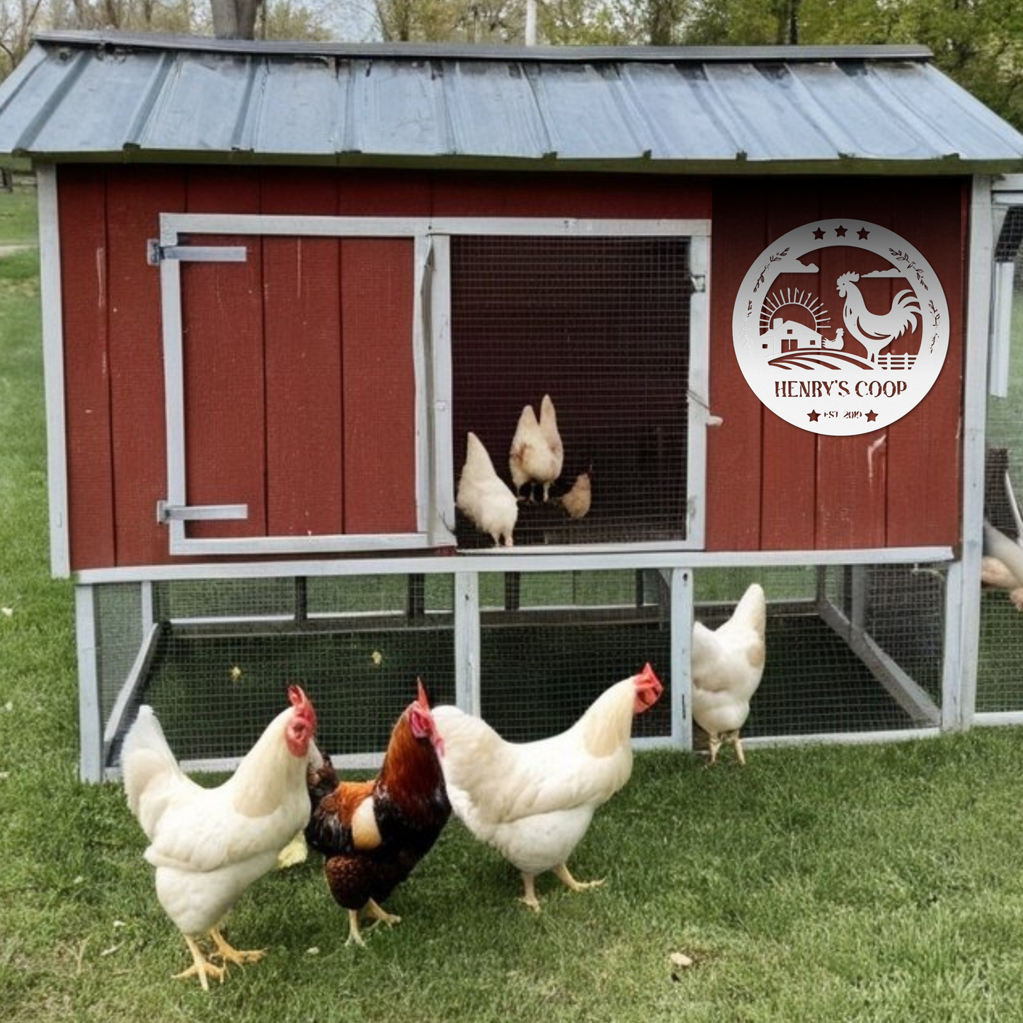 Chicken Coop